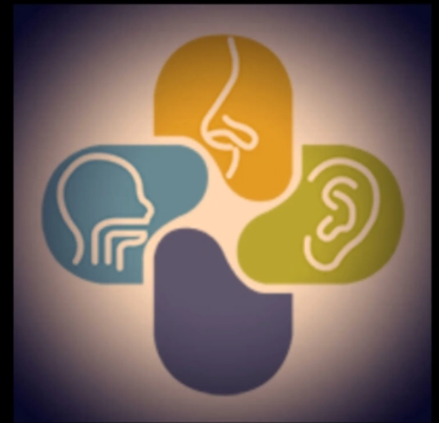 Satyam ENT logo